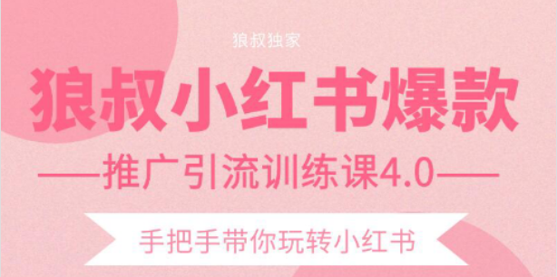 狼叔小红书爆款推广引流训练课4.0，手把手带你玩转小红书-买得值资源库