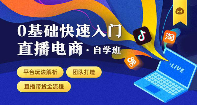 0基础快速入门直播电商课程：直播平台玩法解析-团队打造-带货全流程等环节-买得值资源库