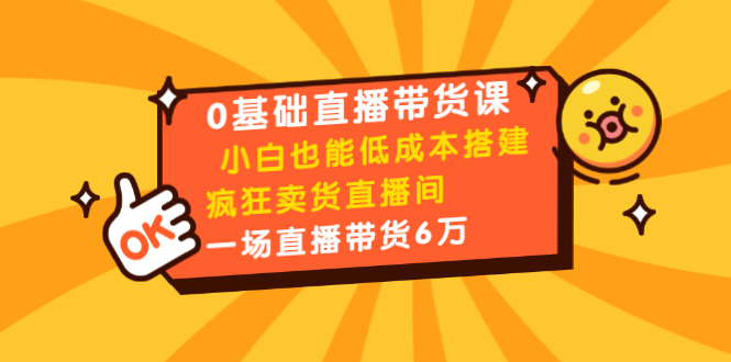 0基础直播带货课：小白也能低成本搭建疯狂卖货直播间：1场直播带货6万-买得值资源库