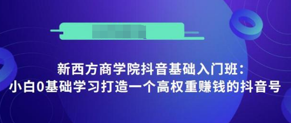 抖音基础入门班：小白0基础学习打造一个高权重赚钱的抖音号-买得值资源库