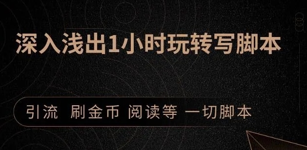引流脚本实战课：1小时深入浅出视频实操讲解，教你0基础学会写引流脚本-买得值资源库