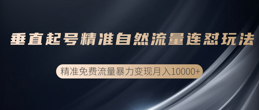 垂直起号精准自然流量连爆玩法，精准引流暴力变现月入10000+-买得值资源库