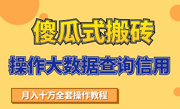 搬砖操作大数据查询信用项目赚钱教程，祝你快速月入6万-买得值资源库