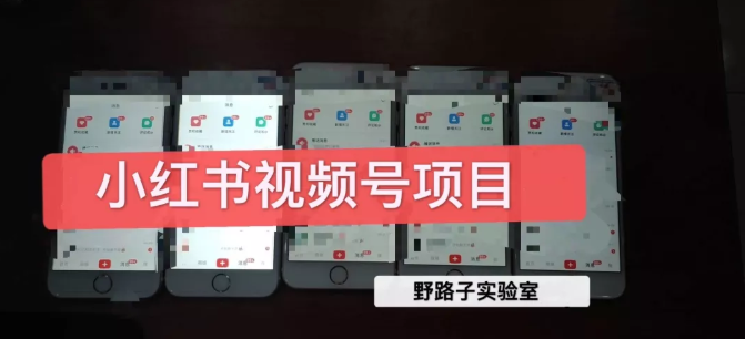 野路子小红书视频号1.0项目，直接上手操作就能赚钱的视频号项目-买得值资源库