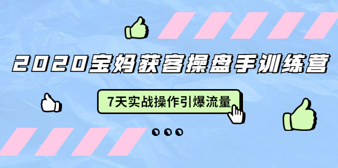 2020宝妈获客操盘手训练营：7天实战操作引爆 母婴、都市、购物宝妈流量-买得值资源库