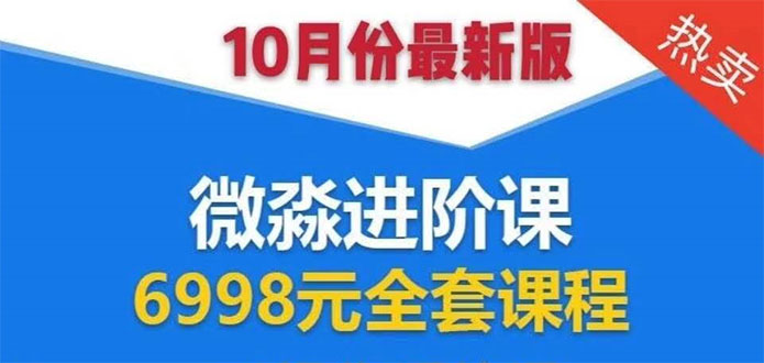 微淼理财进阶课全套视频：助你早点实现财务自由，理论学习+案例分析+实操-买得值资源库