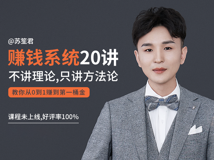 苏笙君的赚钱系统20课 教你从0到1赚到你的第一桶金（不讲理论，只讲方法论）-买得值资源库