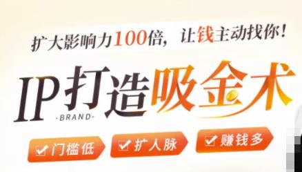 IP打造吸金术：0基础0资源，也能扩大影响力100倍，让钱主动找你！-买得值资源库
