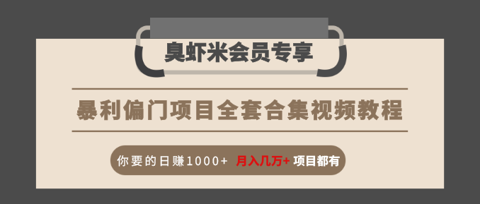 暴利偏门项目全套合集视频教程：你要的日赚1000+月入几万+项目都有-买得值资源库