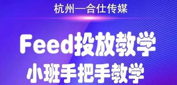 合仕传媒Feed投放教学，手把手教学，开车烧钱必须自己会-买得值资源库