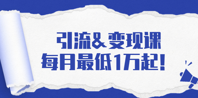 引流&变现课：分享一整套流量方法以及各个渠道收入，每月最低1万起！-买得值资源库