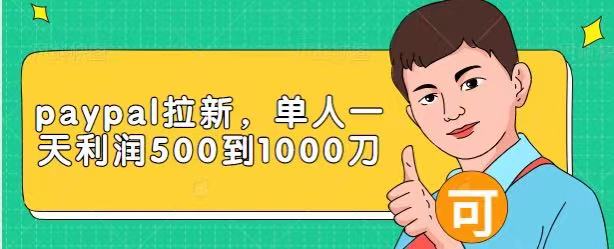 Paypal拉新赚美刀项目，单人一天利润500-1000刀【视频课程】-买得值资源库