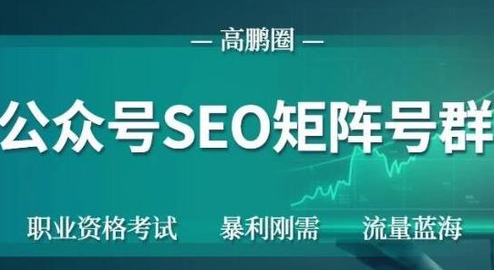 高鹏圈公众号SEO矩阵号群，实操20天纯收益25000+，普通人都能做-买得值资源库