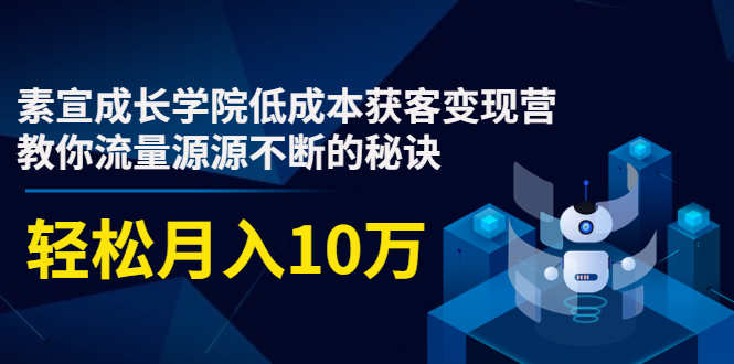 素宣成长学院低成本获客变现营，教你流量源源不断的秘诀，轻松月入10万-买得值资源库
