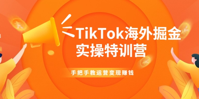 TikTok海外掘金实操特训营：手把手教运营变现赚钱-买得值资源库