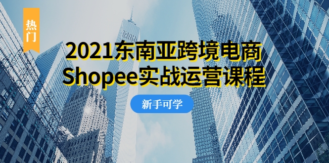 2021东南亚跨境电商Shopee实战运营课程，0基础、0经验、0投资的副业项目-买得值资源库
