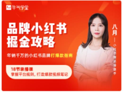 品牌小红书掘金攻略，年销千万的小红书品牌打爆款指南-买得值资源库