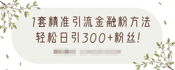 1套精准引流金融粉方法，轻松日引300+粉丝-买得值资源库