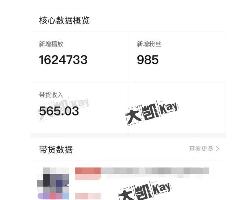 大凯进阶圈新玩法之拼多多视频玩法，利润大概一个号一天能有500~1500的左右!-买得值资源库