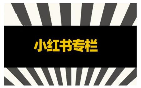 品牌医生·小红书全链营销干货，5个起盘案例，7个内容方向，n条避坑指南-买得值资源库