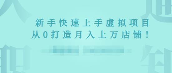 2022年虚拟项目实战指南，新手从0打造月入上万店铺-买得值资源库