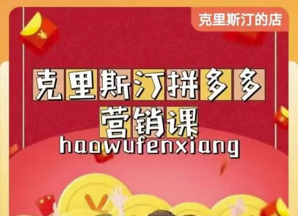 克里斯汀拼多多运营课，适合小白初涉平台，低成本入门-买得值资源库