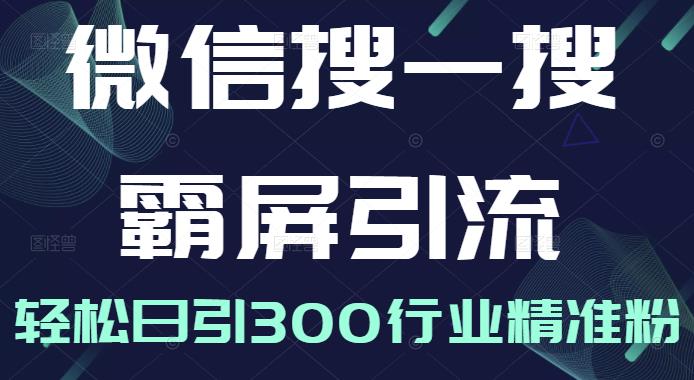 微信搜一搜霸屏引流课，打造被动精准引流系统，轻松日引300行业精准粉-买得值资源库