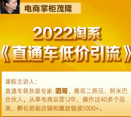 茂隆2022直通车低价引流玩法，教大家如何低投入高回报的直通车玩法-买得值资源库