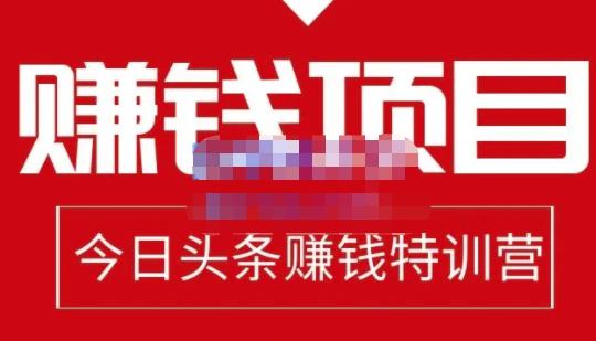 懒人领域·今日头条项目玩法，头条中视频项目，单号收益在50—500可批量-买得值资源库