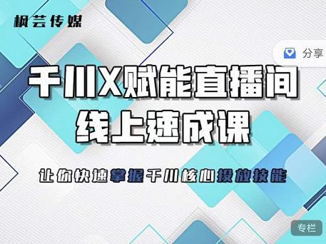枫芸传媒-线上千川提升课，提升千川认知，提升千川投放效果-买得值资源库