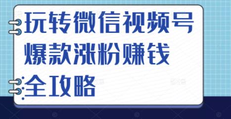 玩转微信视频号爆款涨粉赚钱全攻略，让你快速抓住流量风口，收获红利财富-买得值资源库