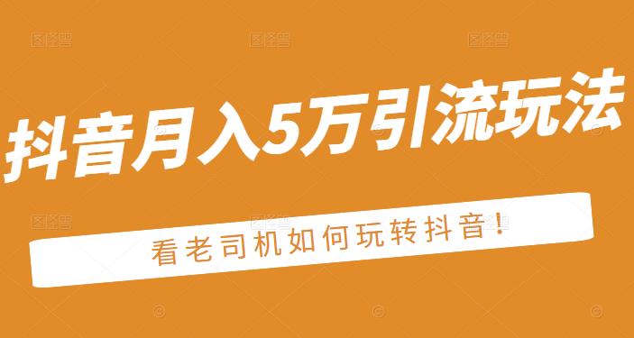 老古董·抖音月入5万引流玩法，看看老司机如何玩转抖音(附赠：抖音另类引流思路)-买得值资源库