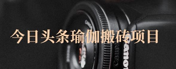 猎人社区·今日头条瑜伽搬砖项目，单号一天几十收入，可以批量操作！-买得值资源库