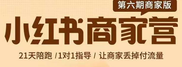 贾真-小红书商家营第6期商家版，21天带货陪跑课，让商家丢掉付流量-买得值资源库