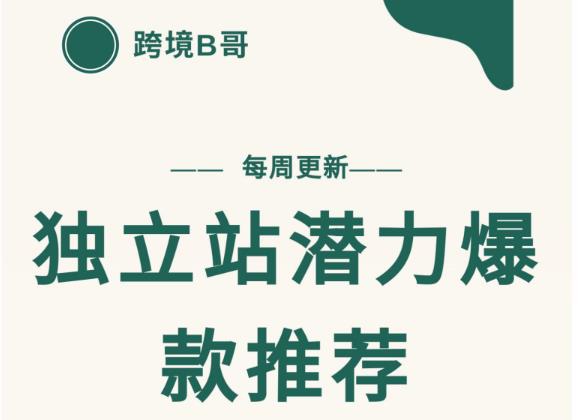 【跨境B哥】独立站潜力爆款选品推荐，测款出单率高达百分之80-买得值资源库
