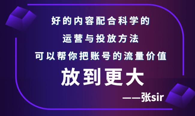 张sir账号流量增长课，告别海王流量，让你的流量更精准-买得值资源库