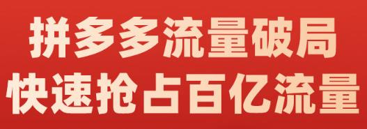 阿杰·拼多多流量破局:如何打黑标，爆款的思路，拼多多流量框架，快速抢占百亿流量-买得值资源库