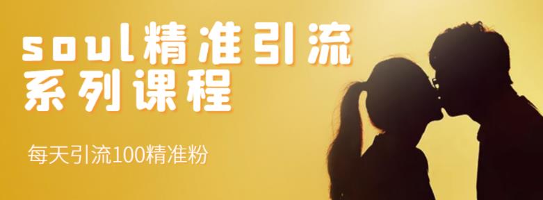 soul精准引流系列课程，每天引流100精准粉-买得值资源库