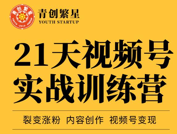 张萌21天视频号实战训练营，裂变涨粉、内容创作、视频号变现 价值298元-买得值资源库