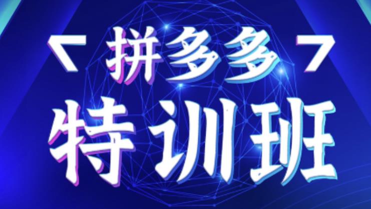 星雪教育·拼多多基础班+进阶班+突破班，用系统的学习模式快速改变现状价值3580元-买得值资源库
