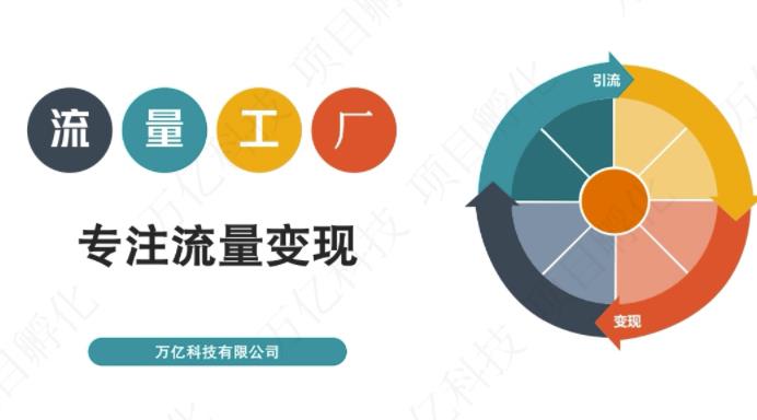 收费3980的流量工厂回粉项目，号称1个粉10元【详细玩法教程解析】-买得值资源库