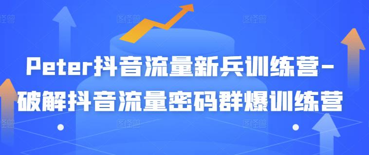 Peter抖音流量新兵训练营-破解抖音流量密码群爆训练营（新兵）-买得值资源库