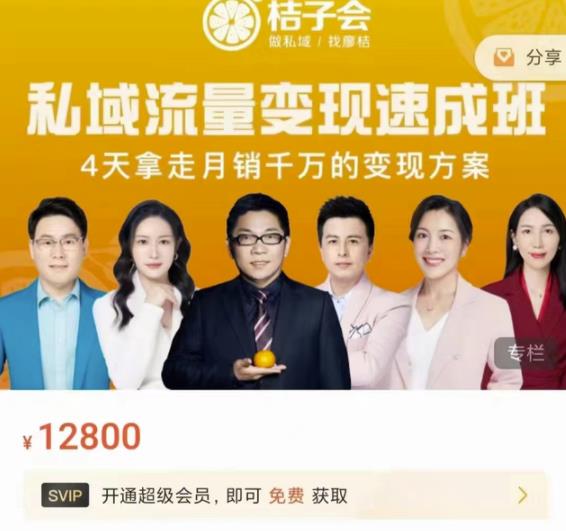 桔子会·私域流量变现速成班，4天拿走月销千万的变现方案 价值12800元-买得值资源库