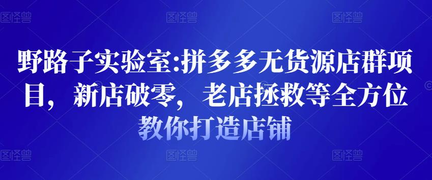 野路子实验室:拼多多无货源店群项目，新店破零，老店拯救等全方位教你打造店铺-买得值资源库