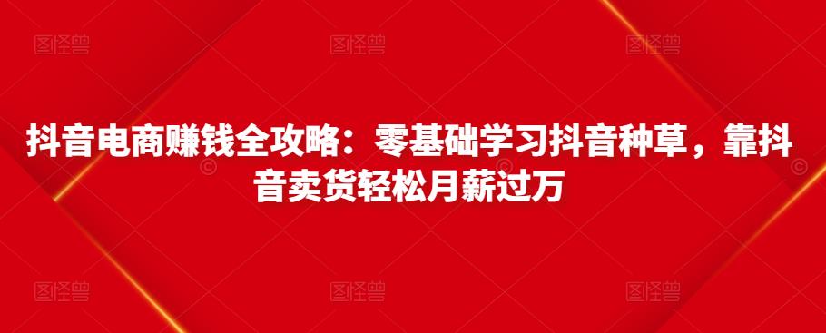 抖音电商赚钱全攻略：零基础学习抖音种草，靠抖音卖货轻松月薪过万-买得值资源库