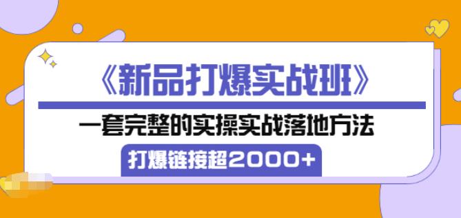 凌童《新品打爆实战班》,一套完整的实操实战落地方法，打爆链接超2000+（28节课)-买得值资源库