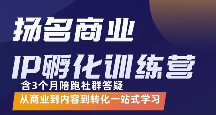 杨名商业IP孵化训练营，从商业到内容到转化一站式学 价值5980元-买得值资源库