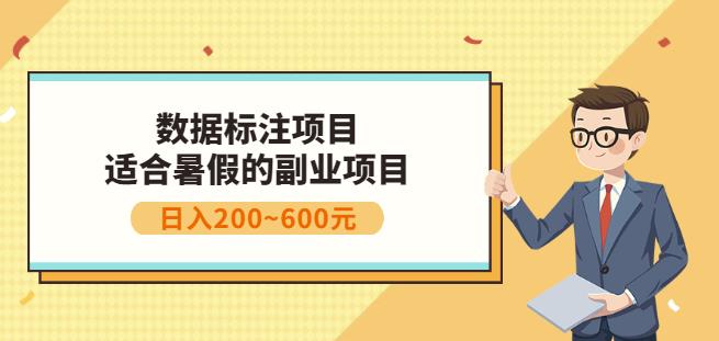 副业赚钱：人工智能数据标注项目，简单易上手，小白也能日入200+-买得值资源库