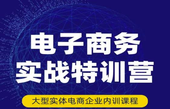 民赛电气内部出品：电子商务实战特训营，全方位带你入门电商，308种方式玩转电商-买得值资源库