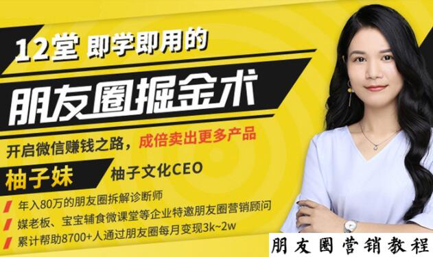 【营销必学】12堂学之即用的朋友圈掘金术：开启你的副业赚钱之路-买得值资源库